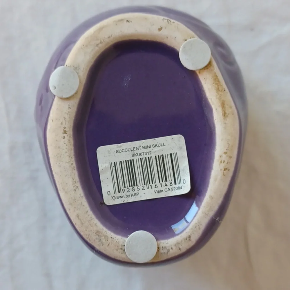 3/$25 SALE Mexican Sugar Skull Día de Muertos Mini Ceramic Planter, Purple